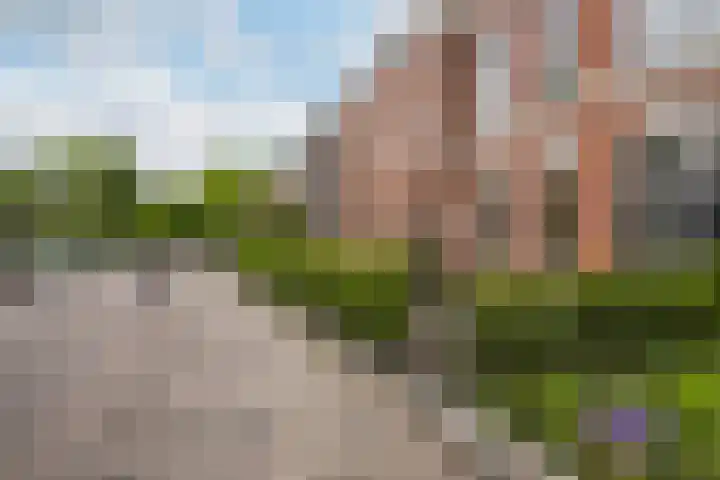 Schiedamseweg 70 Vlaardingen thumbnail 69