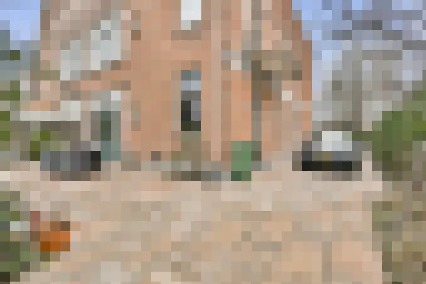 Schiedamseweg 86 Vlaardingen thumbnail 19