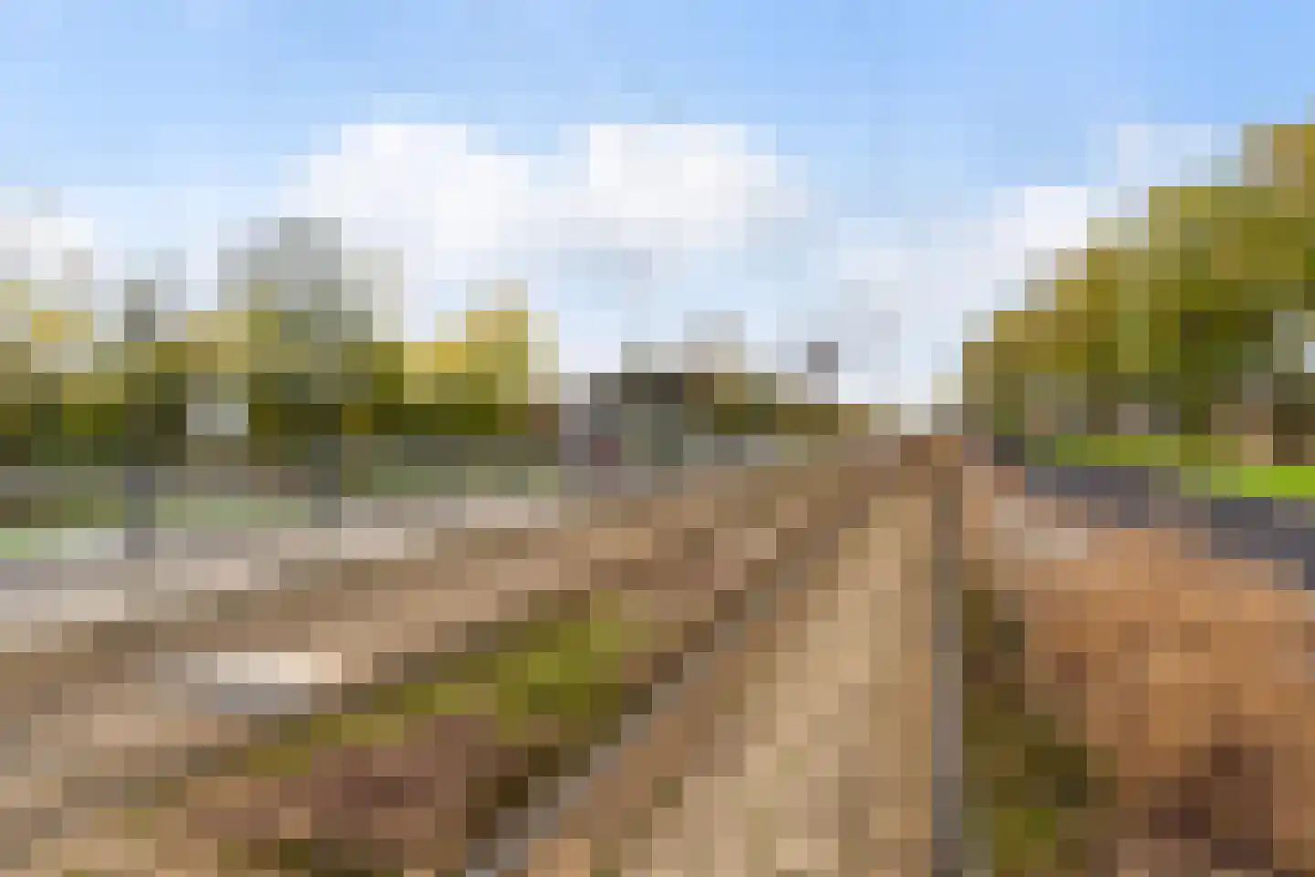 Schiedamseweg Beneden 465 02L Rotterdam thumbnail 27