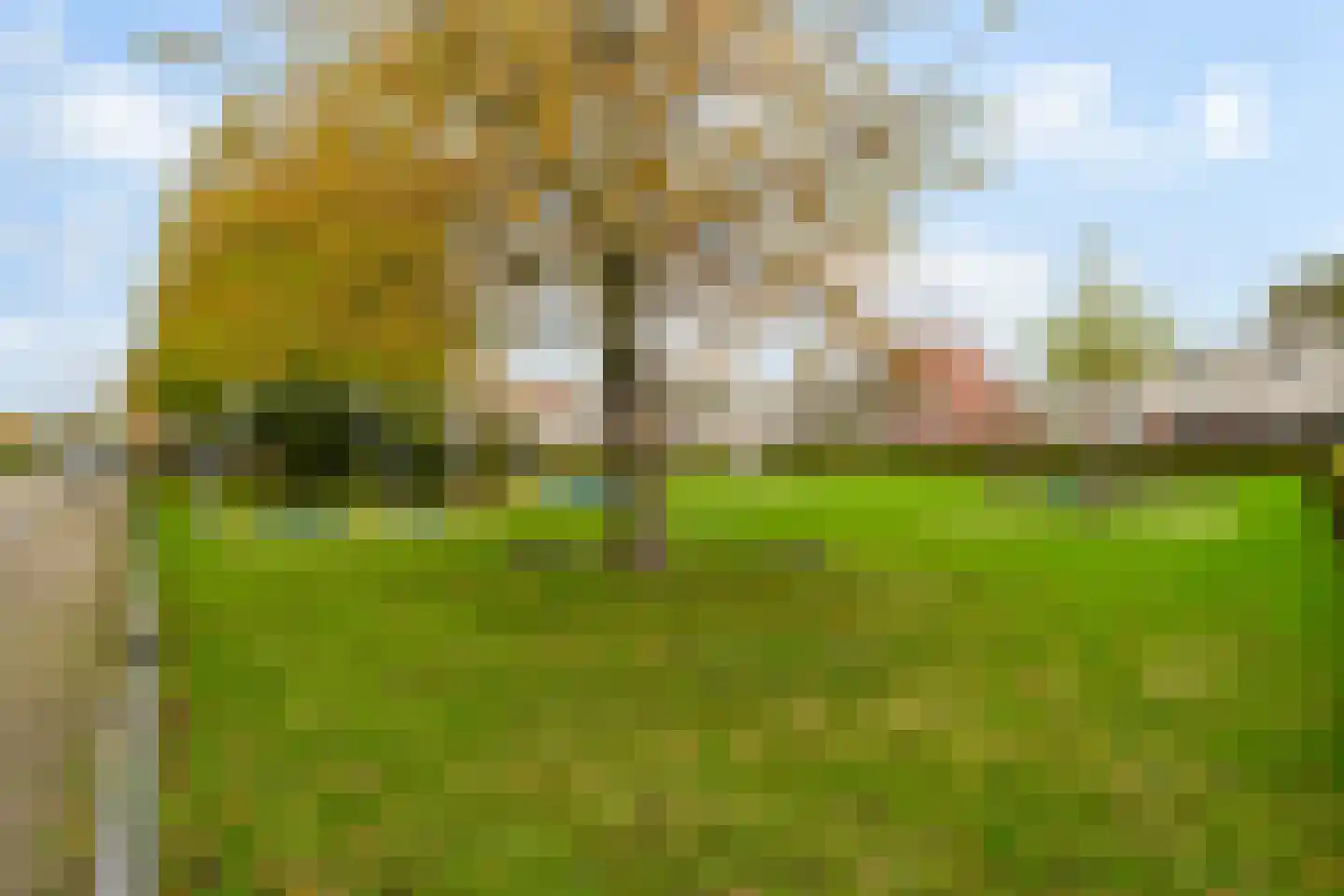 Schiedamseweg Beneden 465 02L Rotterdam thumbnail 28