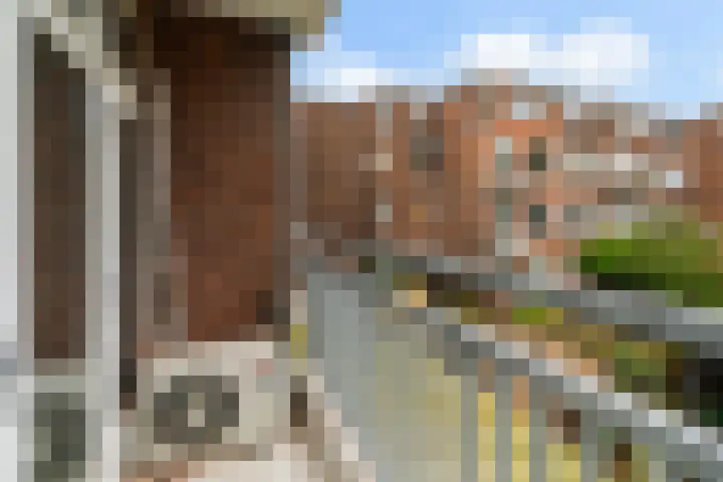 Schiedamseweg Beneden 465 02L Rotterdam thumbnail 5
