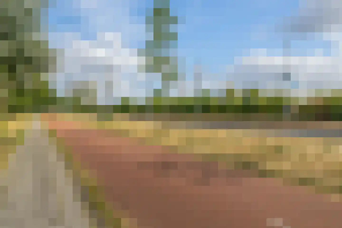 Schiedamseweg Beneden 501 A Rotterdam thumbnail 52