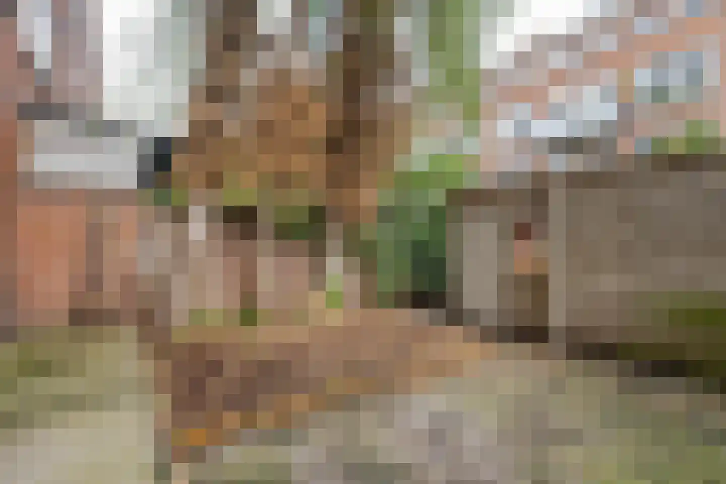 Schiedamseweg Beneden 505 D Rotterdam thumbnail 20