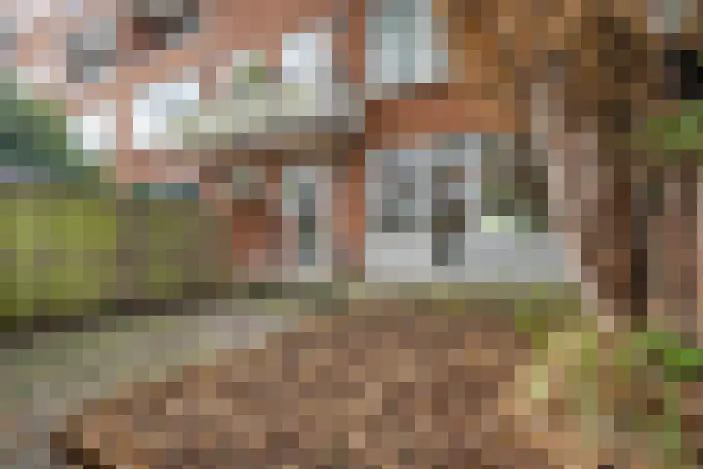 Schiedamseweg Beneden 505 D Rotterdam thumbnail 21