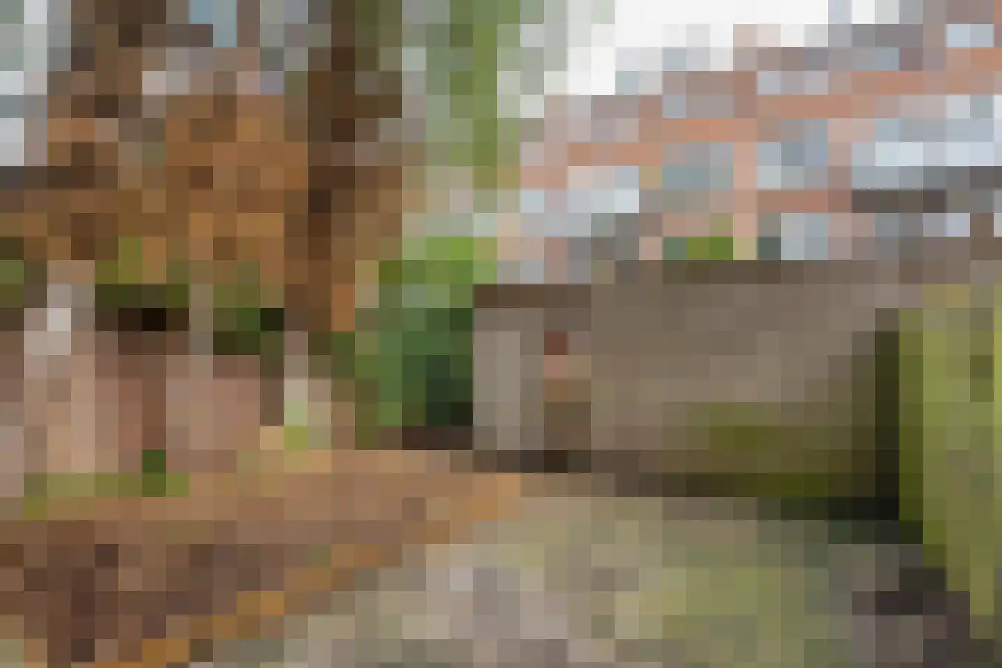 Schiedamseweg Beneden 505 D Rotterdam thumbnail 5