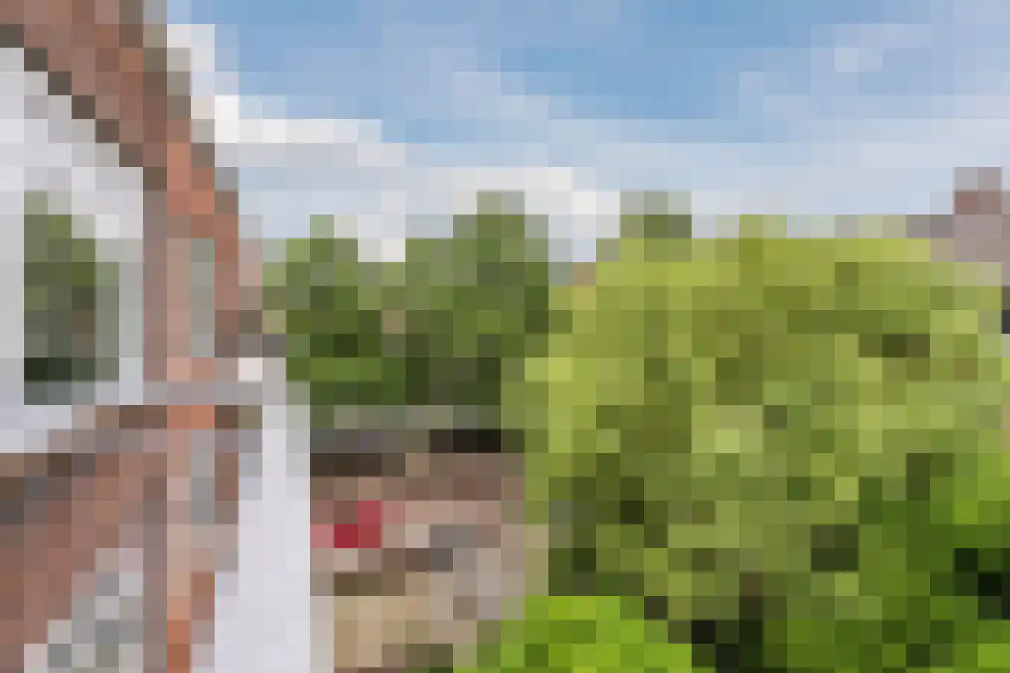 Schiedamseweg Beneden 521 C Rotterdam thumbnail 20
