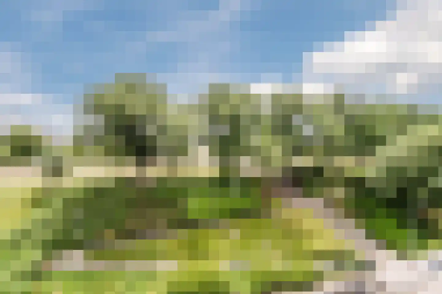 Schiedamseweg Beneden 521 C Rotterdam thumbnail 38