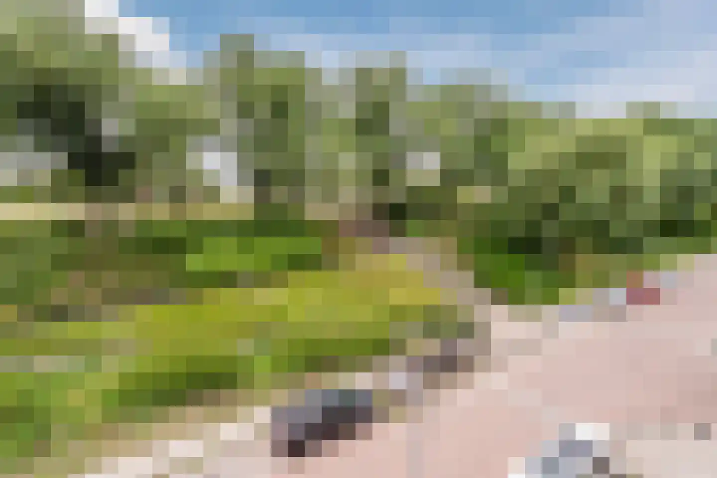 Schiedamseweg Beneden 521 C Rotterdam thumbnail 39