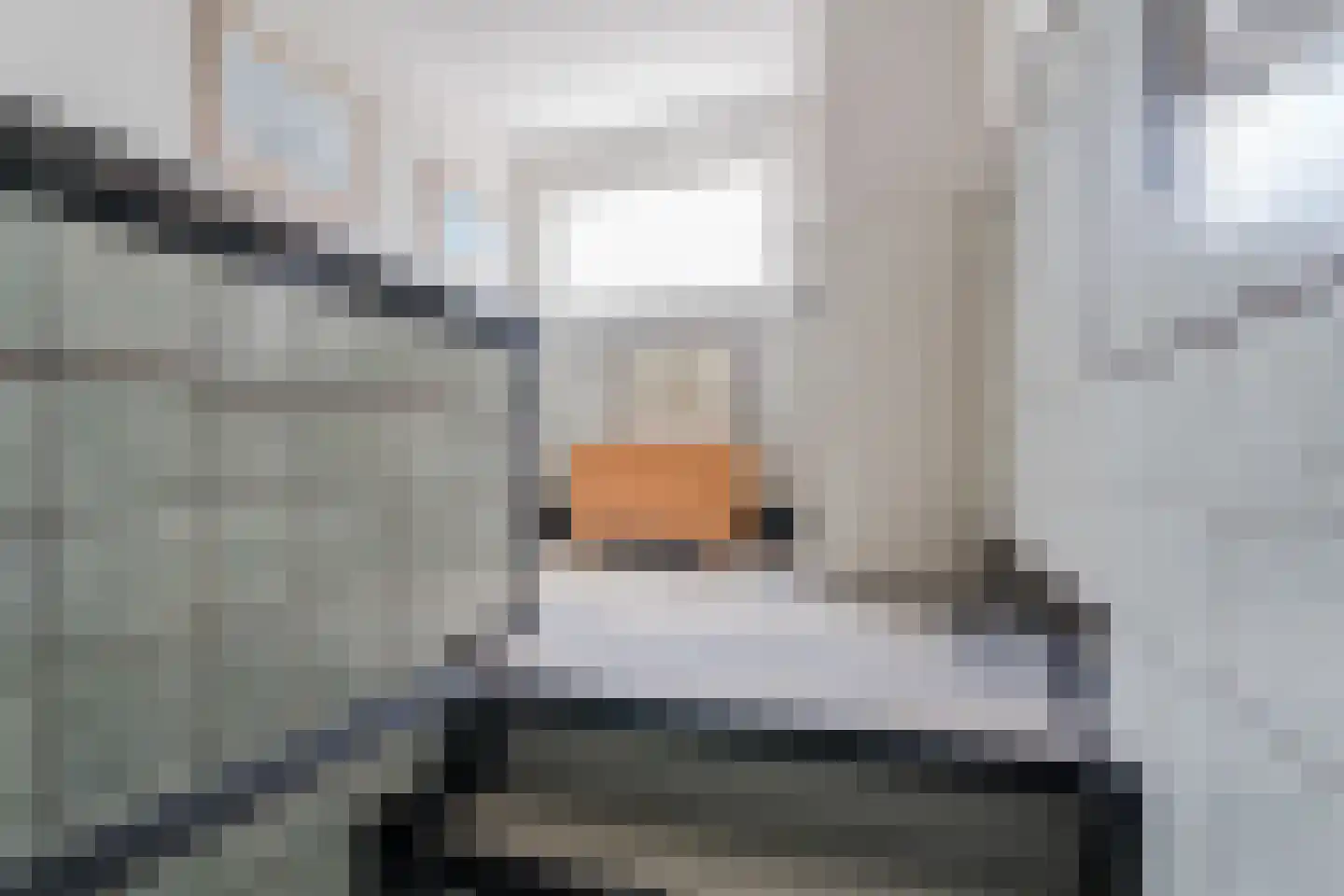 Schiedamseweg Beneden 521 C Rotterdam thumbnail 7