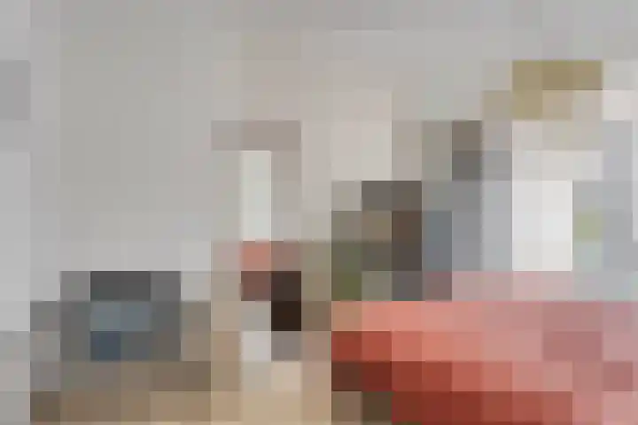 Schiedamseweg Beneden 535 02L Rotterdam thumbnail 10
