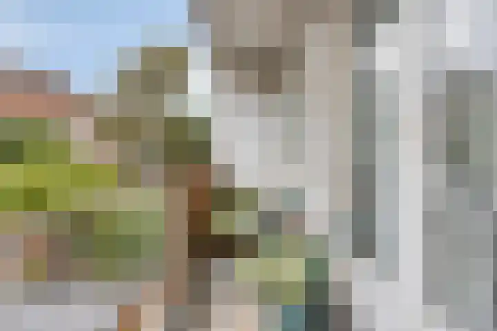 Schiedamseweg Beneden 535 02L Rotterdam thumbnail 16