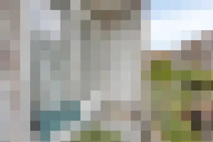 Schiedamseweg Beneden 535 02L Rotterdam thumbnail 17