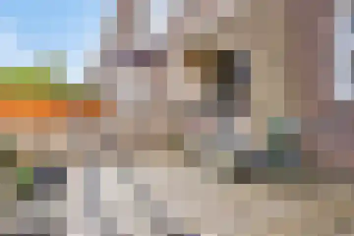 Schiedamseweg Beneden 545 C Rotterdam thumbnail 12