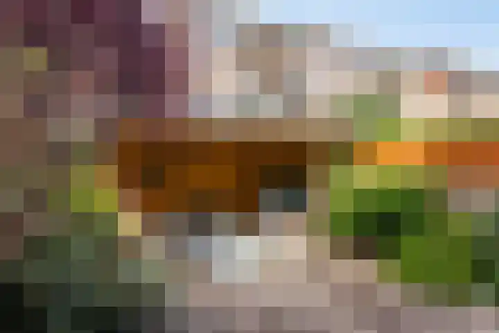 Schiedamseweg Beneden 545 C Rotterdam thumbnail 13