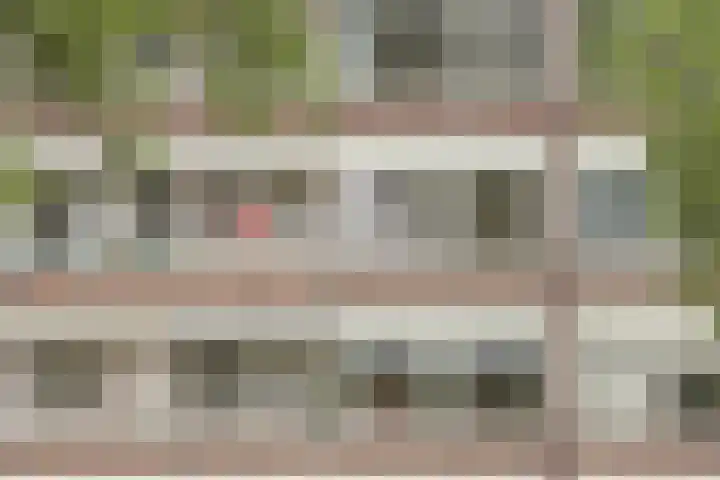 Schiedamseweg Beneden 545 C Rotterdam thumbnail 6