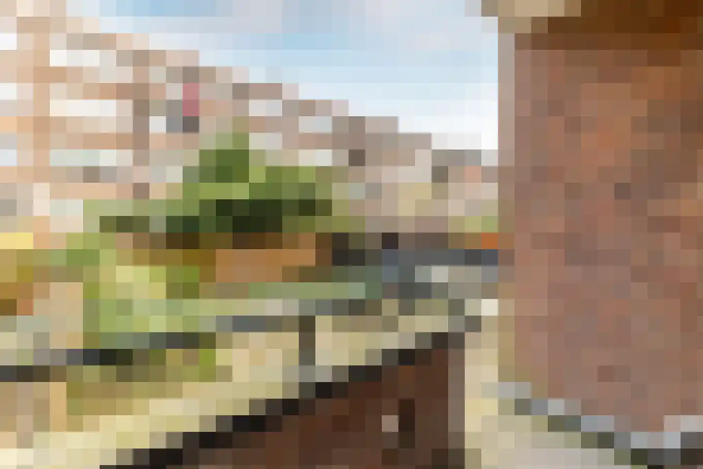 Schiedamseweg Beneden 547 D Rotterdam thumbnail 25