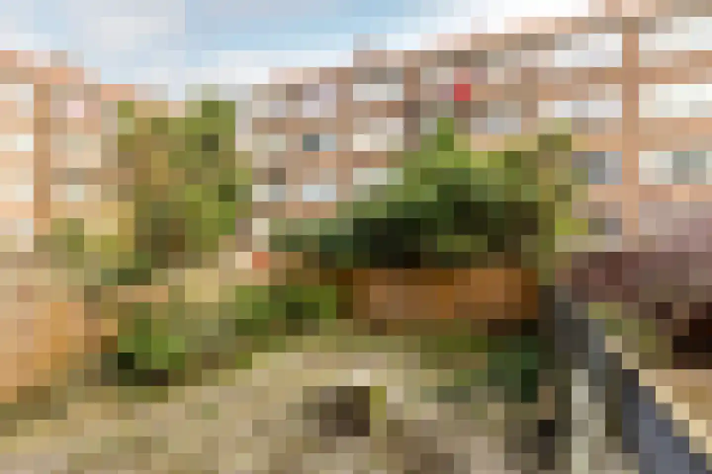 Schiedamseweg Beneden 547 D Rotterdam thumbnail 26