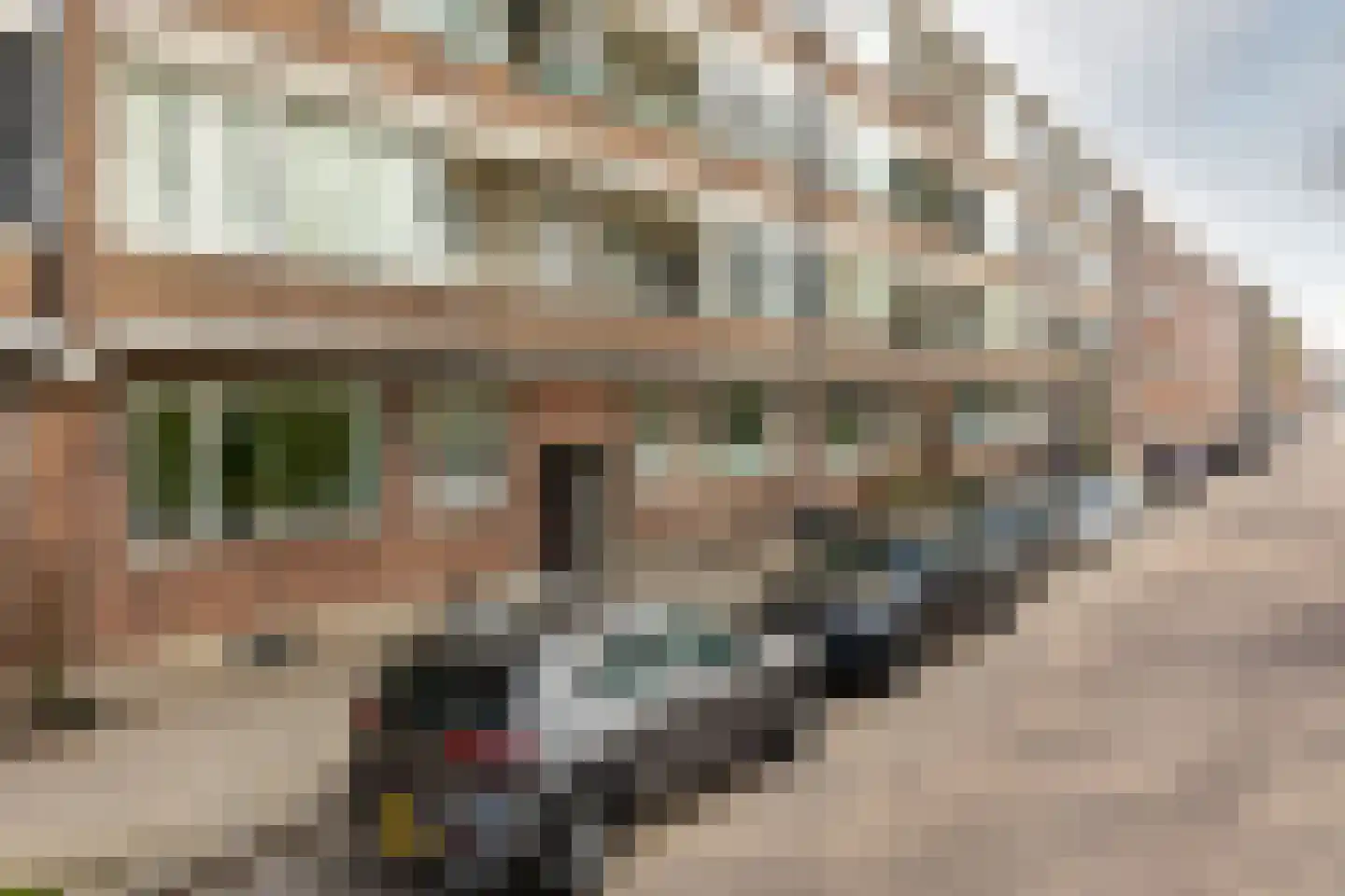 Schiedamseweg Beneden 547 D Rotterdam thumbnail 36
