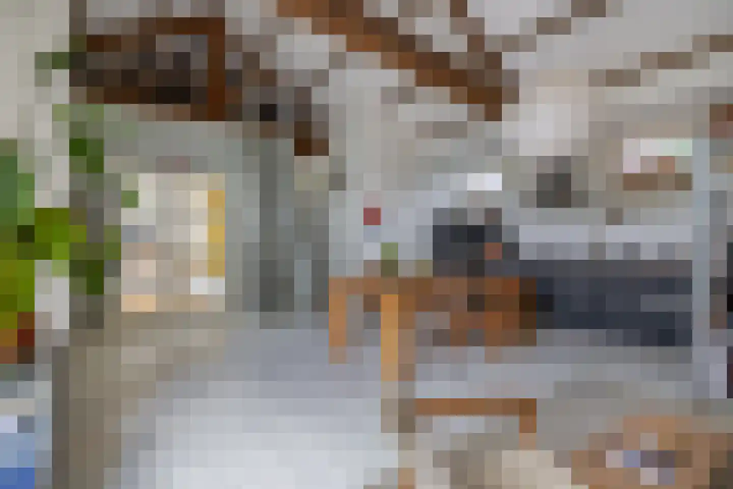 Schiedamseweg Beneden 553 Rotterdam thumbnail 8