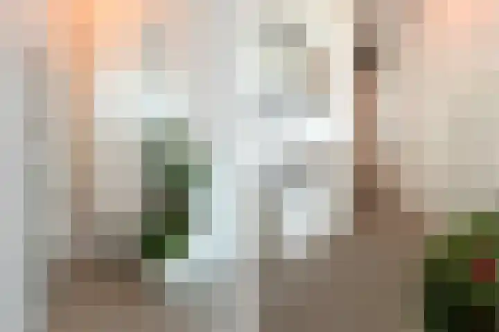 Schiehavenkade 116 Rotterdam thumbnail 26