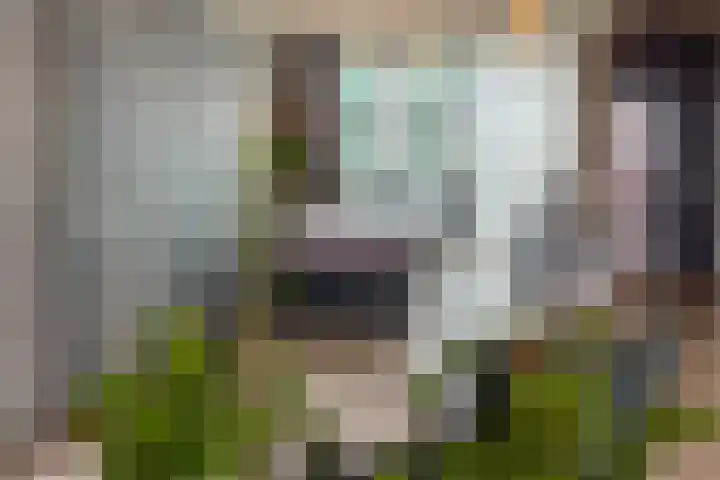 Schiehavenkade 116 Rotterdam thumbnail 4