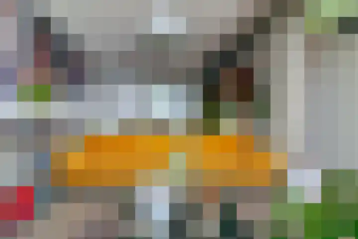 Schiehavenkade 116 Rotterdam thumbnail 6