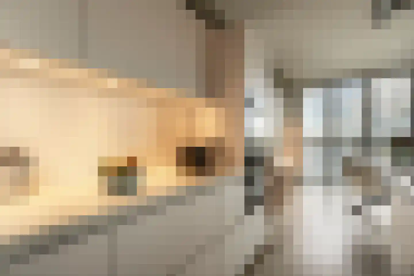 Schiehavenkade 234 Rotterdam thumbnail 16