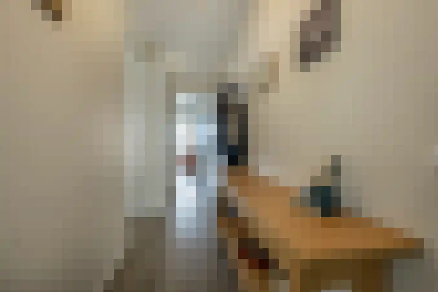 Schiehavenkade 234 Rotterdam thumbnail 18