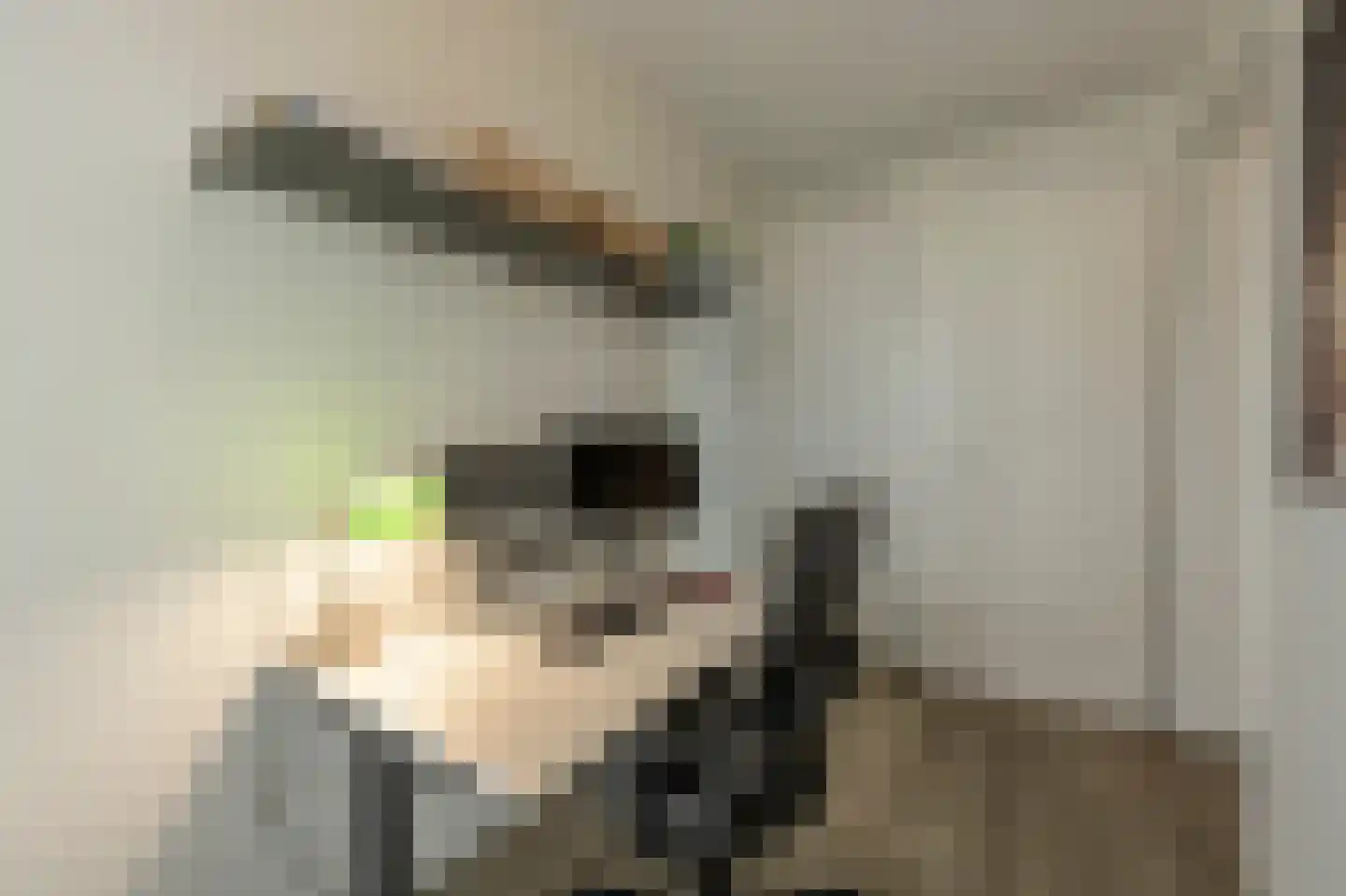 Schiehavenkade 234 Rotterdam thumbnail 23