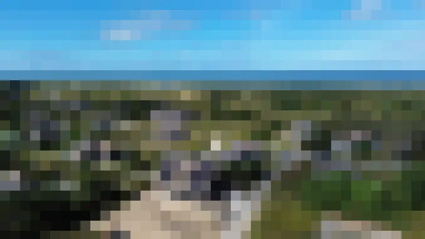 Schiehavenkade 238 Rotterdam thumbnail 31
