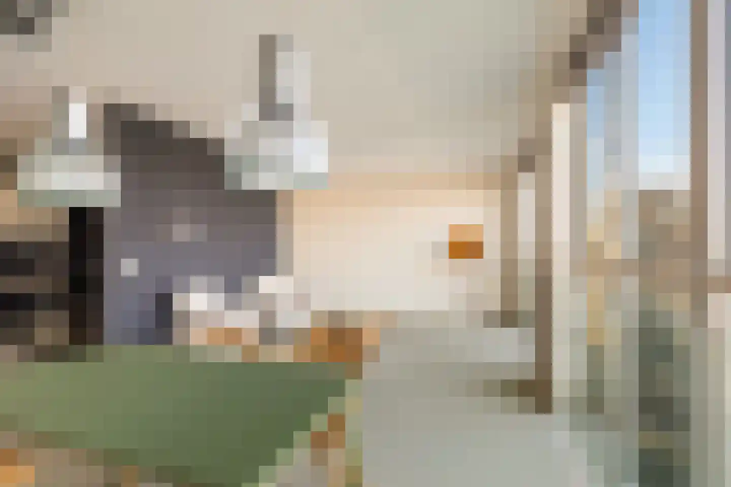 Schiehavenkade 240 Rotterdam thumbnail 11