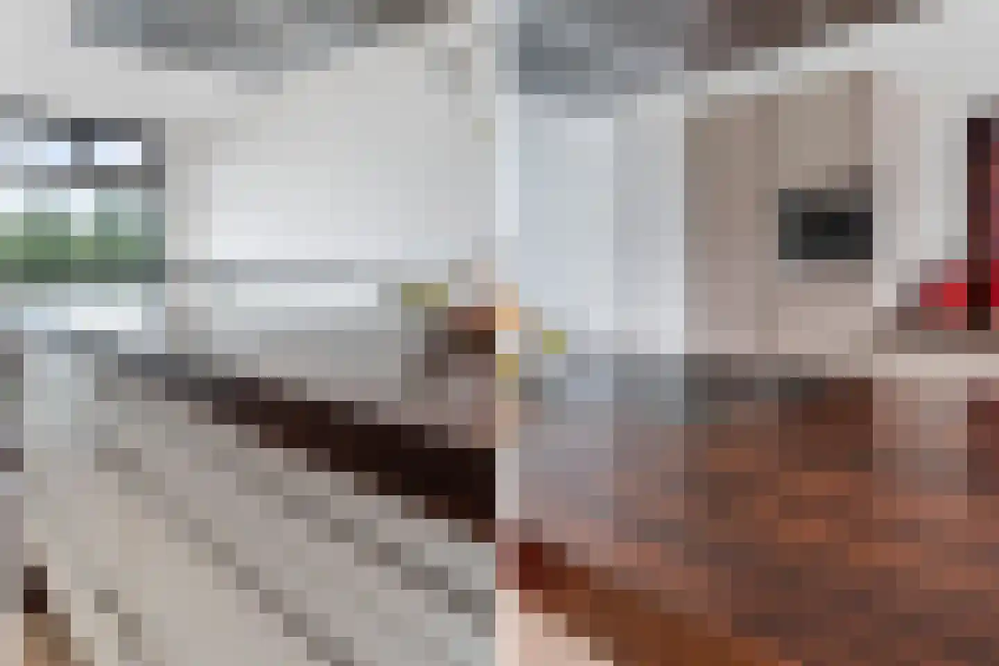 Schiehavenkade 28 Rotterdam thumbnail 31