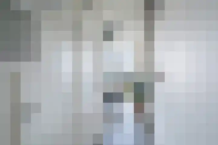 Schiehavenkade 320 Rotterdam thumbnail 34