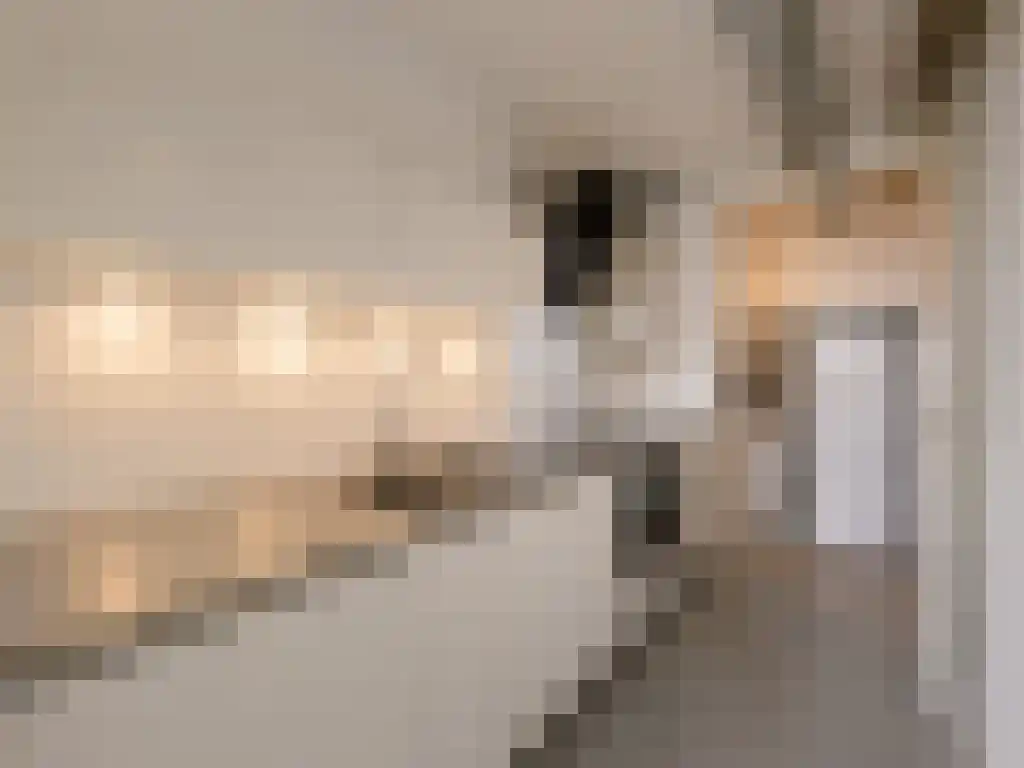 Schiehavenkade 322 Rotterdam thumbnail 5
