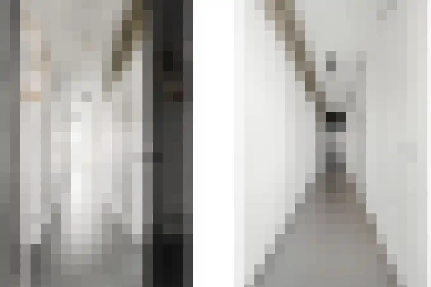 Schiehavenkade 366 Rotterdam thumbnail 8