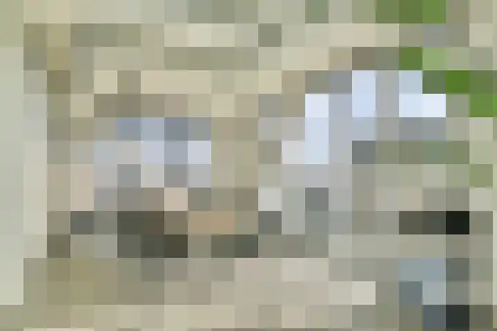 Schiehavenkade 388 Rotterdam thumbnail 12