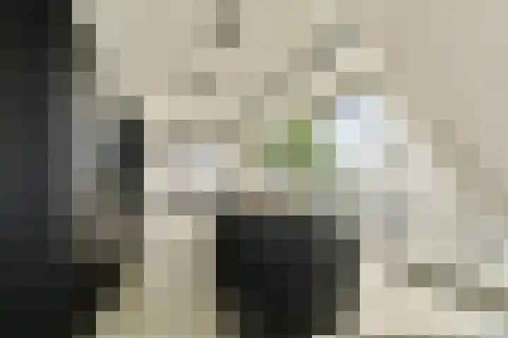 Schiehavenkade 388 Rotterdam thumbnail 17