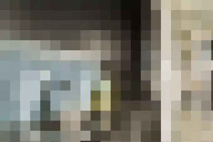 Schiehavenkade 388 Rotterdam thumbnail 18