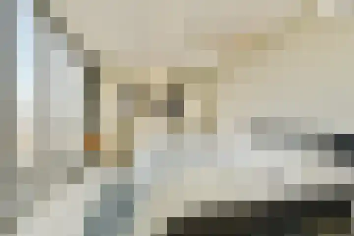 Schiehavenkade 388 Rotterdam thumbnail 20