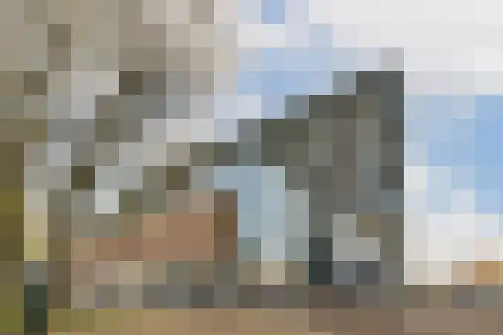 Schiehavenkade 388 Rotterdam thumbnail 29