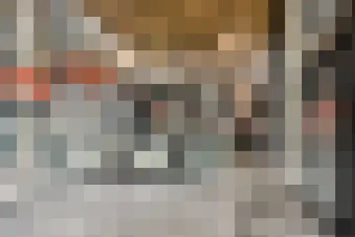 Schiehavenkade 388 Rotterdam thumbnail 31
