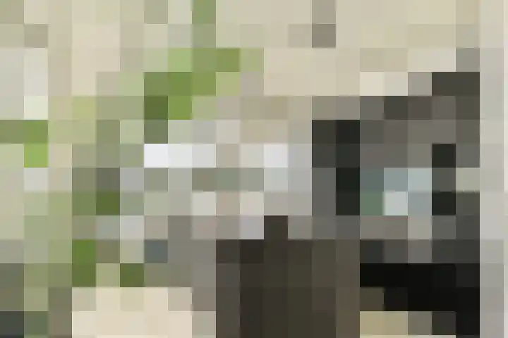 Schiehavenkade 388 Rotterdam thumbnail 4