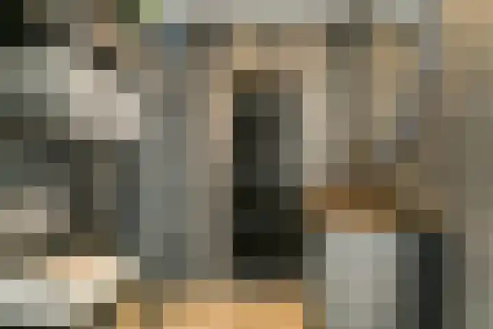 Schiehavenkade 388 Rotterdam thumbnail 6