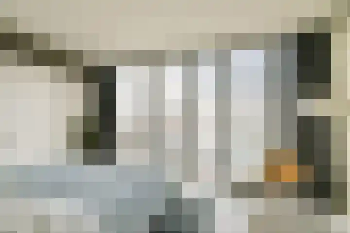 Schiehavenkade 388 Rotterdam thumbnail 7