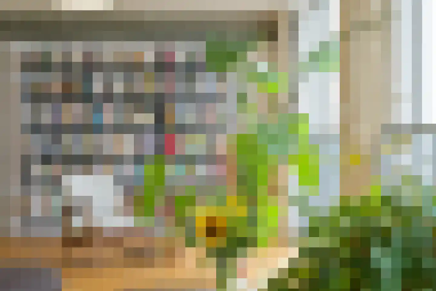 Schiehavenkade 406 Rotterdam thumbnail 11
