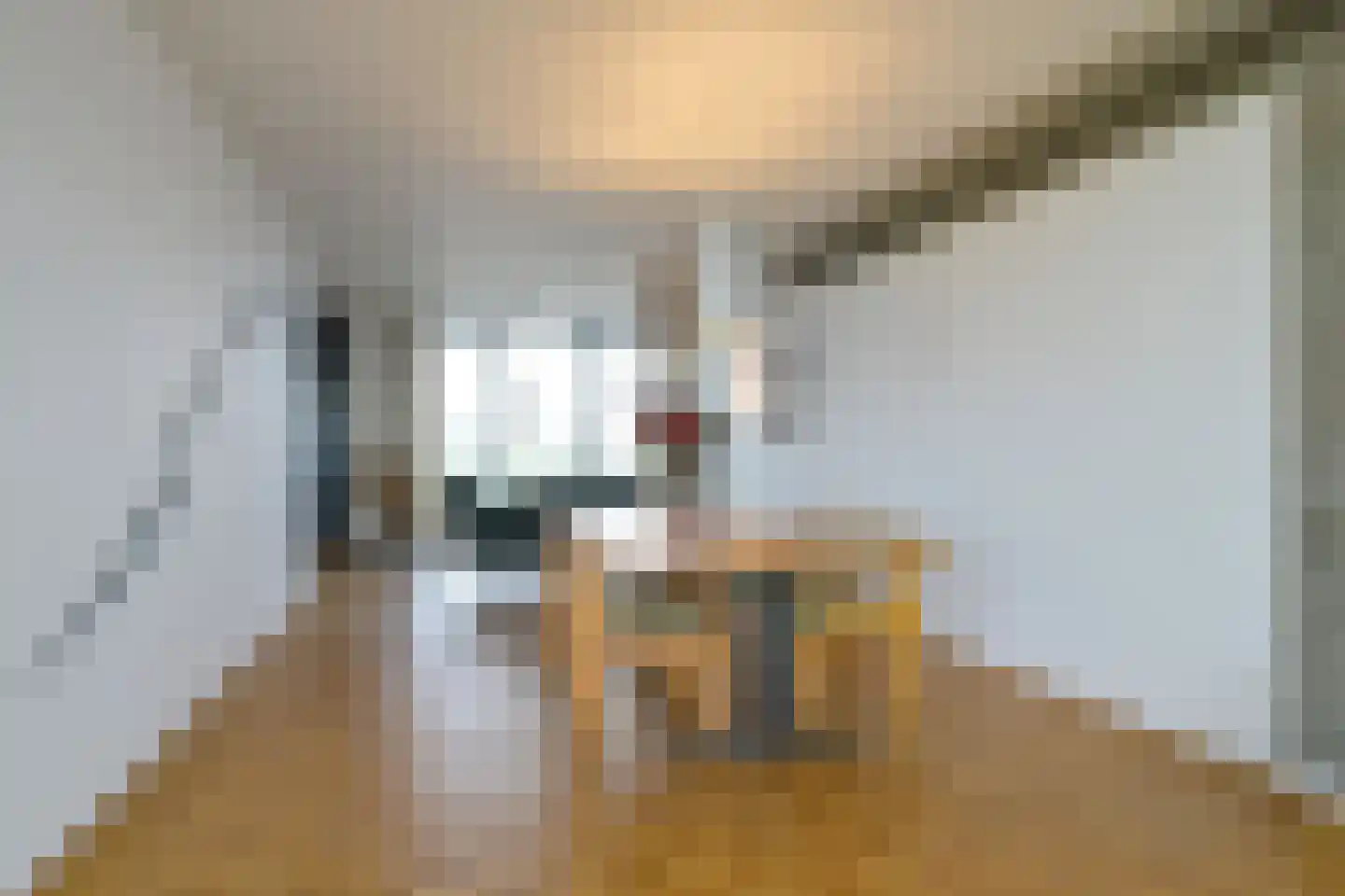 Schiehavenkade 406 Rotterdam thumbnail 8
