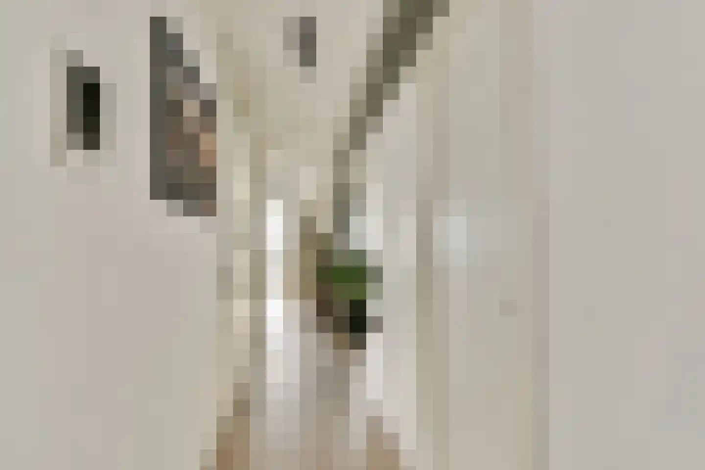 Schiehavenkade 420 Rotterdam thumbnail 9