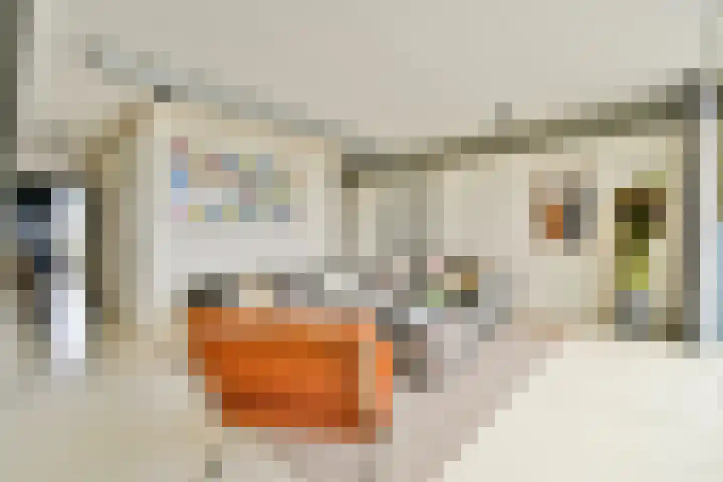 Schiehavenkade 424 Rotterdam thumbnail 13