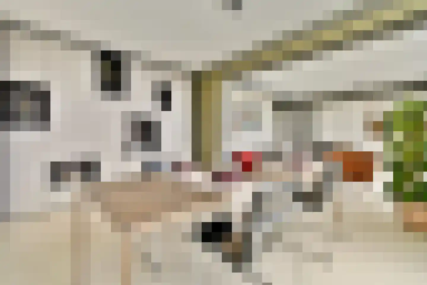 Schiehavenkade 424 Rotterdam thumbnail 14