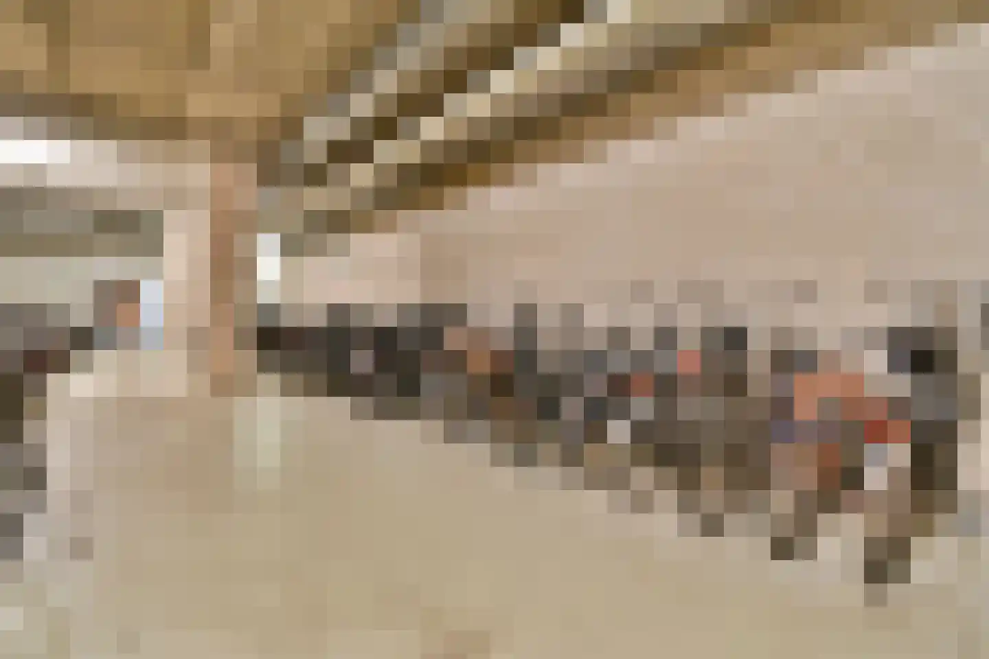 Schiehavenkade 424 Rotterdam thumbnail 32